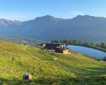Rinneralm