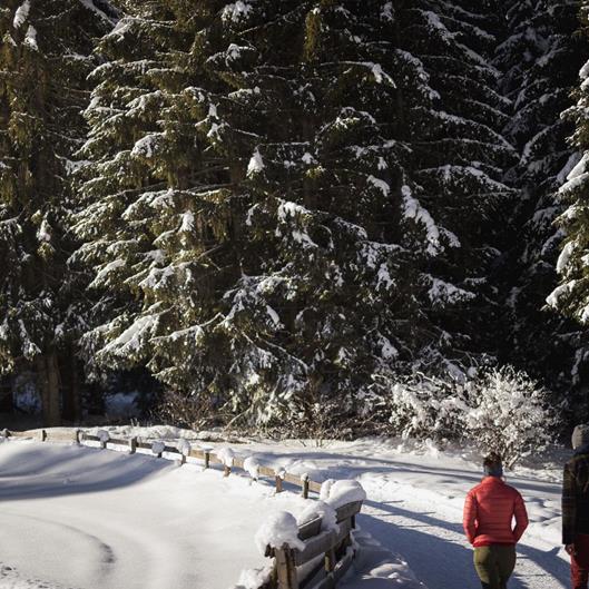 094-tvratschings-kottersteger-240112-kot-0715